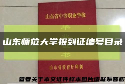 山东师范大学报到证编号目录缩略图