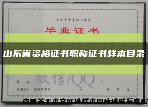 山东省资格证书职称证书样本目录缩略图
