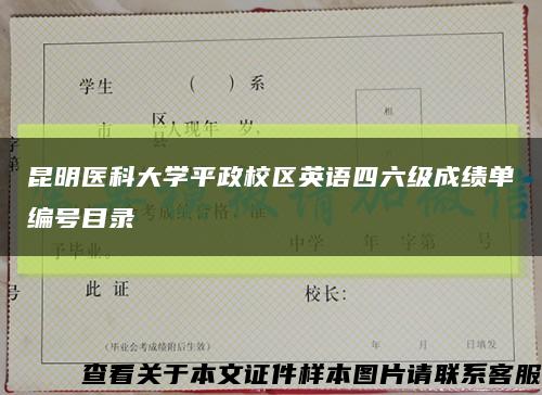 昆明医科大学平政校区英语四六级成绩单编号目录缩略图
