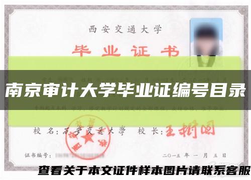 南京审计大学毕业证编号目录缩略图