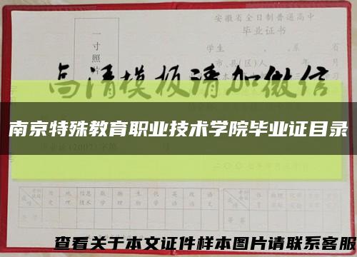 南京特殊教育职业技术学院毕业证目录缩略图