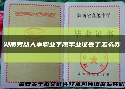 湖南劳动人事职业学院毕业证丢了怎么办缩略图