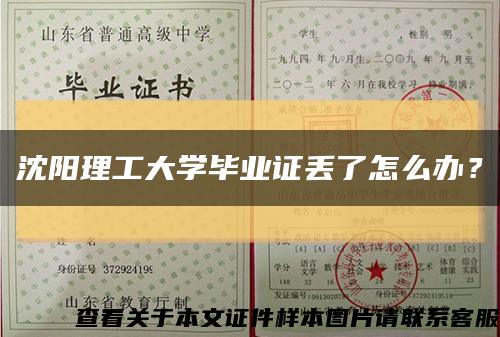 沈阳理工大学毕业证丢了怎么办？缩略图