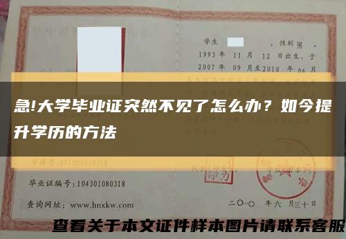 急!大学毕业证突然不见了怎么办？如今提升学历的方法缩略图