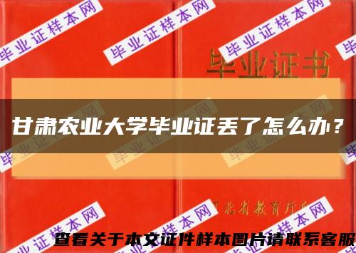 甘肃农业大学毕业证丢了怎么办？缩略图