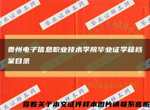 贵州电子信息职业技术学院毕业证学籍档案目录缩略图