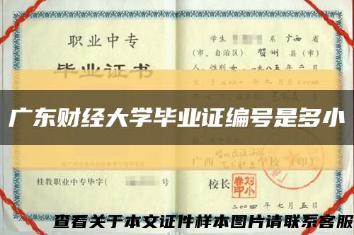 广东财经大学毕业证编号是多小缩略图
