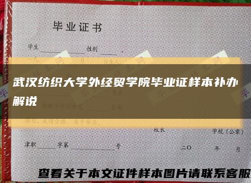 武汉纺织大学外经贸学院毕业证样本补办解说缩略图