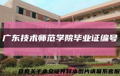 广东技术师范学院毕业证编号缩略图