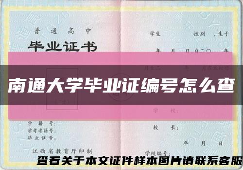 南通大学毕业证编号怎么查缩略图