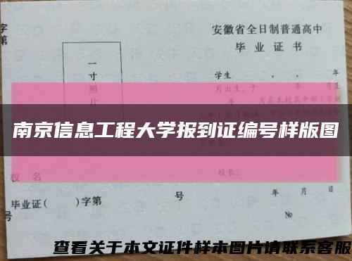 南京信息工程大学报到证编号样版图缩略图