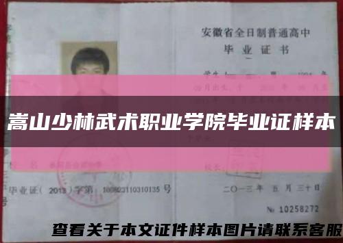 嵩山少林武术职业学院毕业证样本缩略图