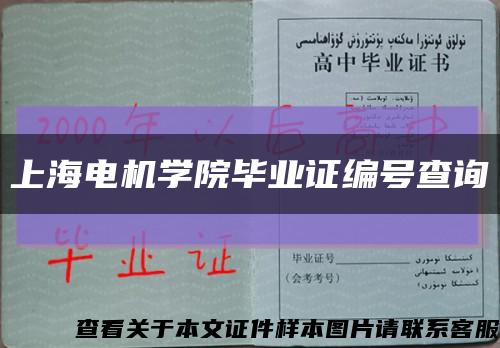 上海电机学院毕业证编号查询缩略图