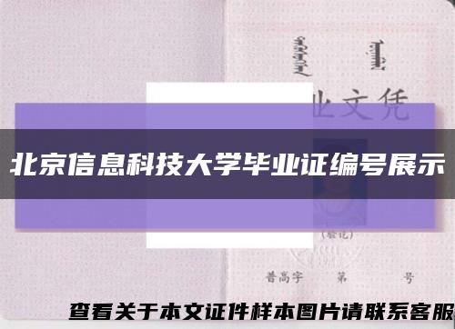 北京信息科技大学毕业证编号展示缩略图