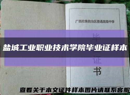 盐城工业职业技术学院毕业证样本缩略图