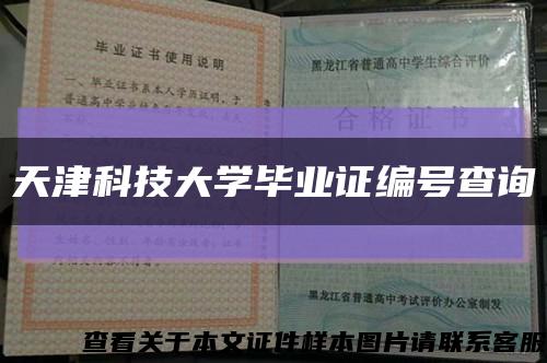 天津科技大学毕业证编号查询缩略图