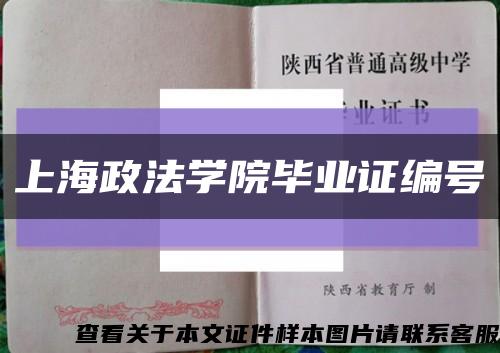 上海政法学院毕业证编号缩略图