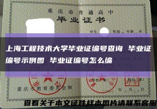 上海工程技术大学毕业证编号查询 毕业证编号示例图 毕业证编号怎么编缩略图