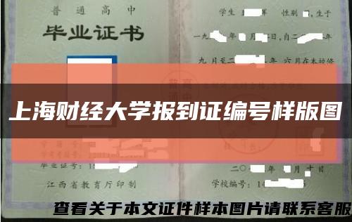 上海财经大学报到证编号样版图缩略图