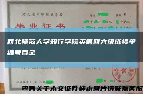 西北师范大学知行学院英语四六级成绩单编号目录缩略图