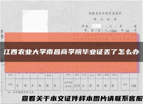 江西农业大学南昌商学院毕业证丢了怎么办缩略图