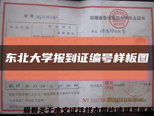 东北大学报到证编号样板图缩略图