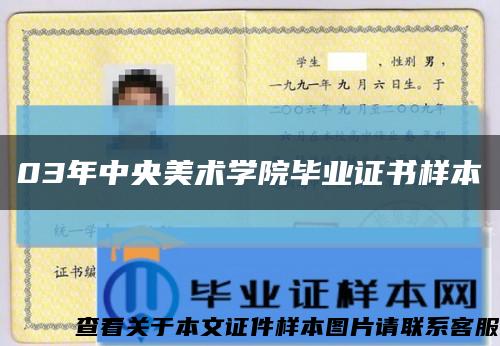 03年中央美术学院毕业证书样本缩略图