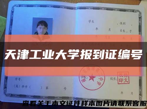 天津工业大学报到证编号缩略图