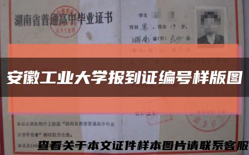 安徽工业大学报到证编号样版图缩略图