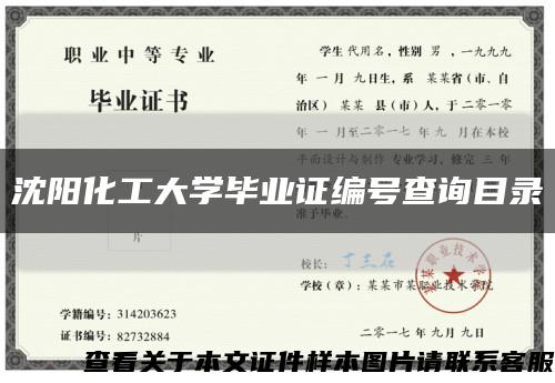沈阳化工大学毕业证编号查询目录缩略图