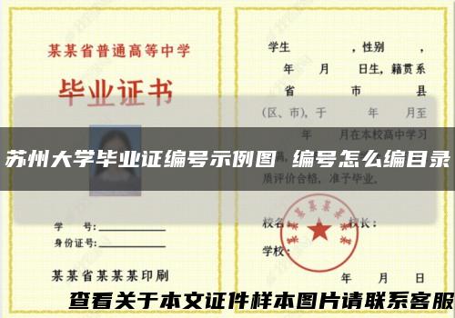 苏州大学毕业证编号示例图 编号怎么编目录缩略图