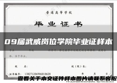 09届武威岗位学院毕业证样本缩略图