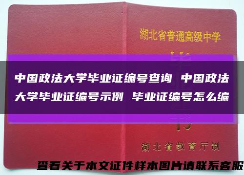 中国政法大学毕业证编号查询 中国政法大学毕业证编号示例 毕业证编号怎么编缩略图