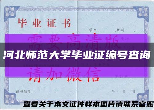 河北师范大学毕业证编号查询缩略图
