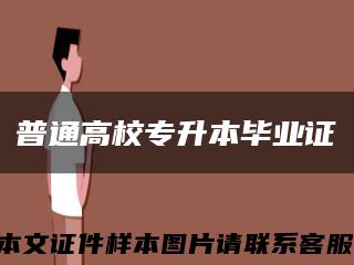 普通高校专升本毕业证缩略图