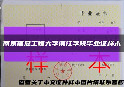 南京信息工程大学滨江学院毕业证样本缩略图