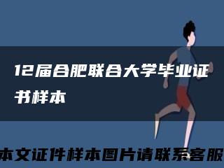 12届合肥联合大学毕业证书样本缩略图