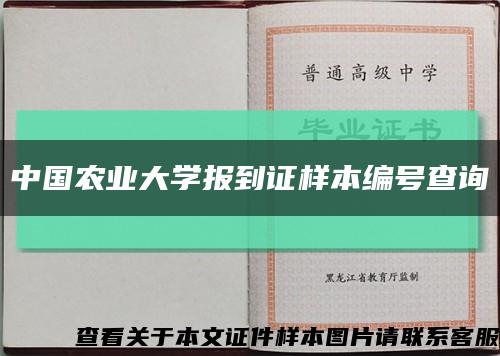 中国农业大学报到证样本编号查询缩略图