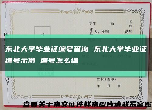 东北大学毕业证编号查询 东北大学毕业证编号示例 编号怎么编缩略图