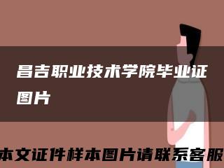 昌吉职业技术学院毕业证图片缩略图