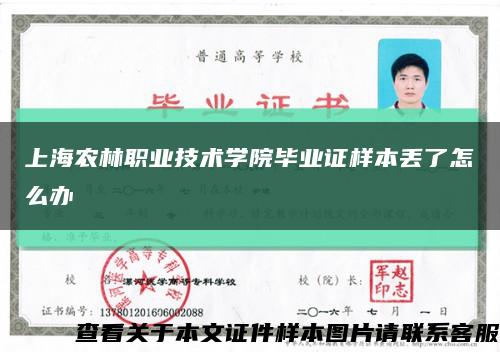 上海农林职业技术学院毕业证样本丢了怎么办缩略图