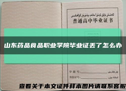 山东药品食品职业学院毕业证丢了怎么办缩略图