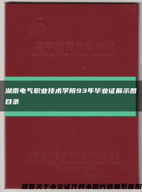 湖南电气职业技术学院93年毕业证展示图目录缩略图