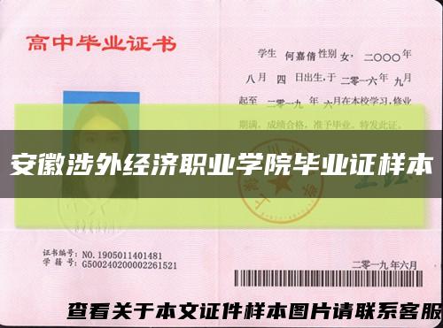 安徽涉外经济职业学院毕业证样本缩略图