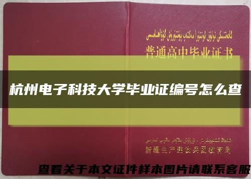 杭州电子科技大学毕业证编号怎么查缩略图