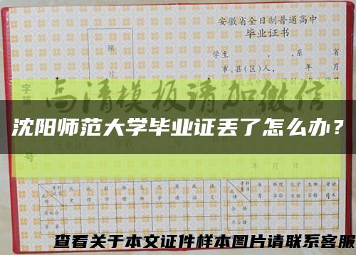 沈阳师范大学毕业证丢了怎么办？缩略图