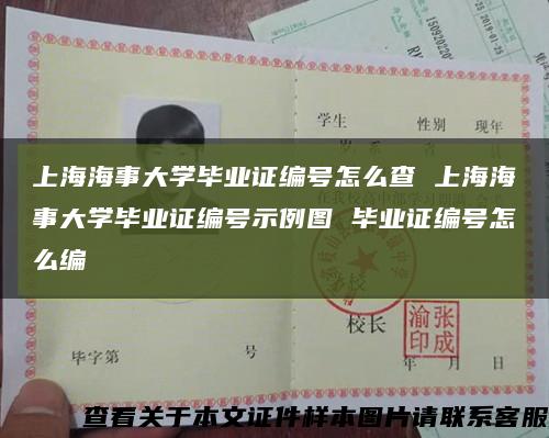 上海海事大学毕业证编号怎么查 上海海事大学毕业证编号示例图 毕业证编号怎么编缩略图