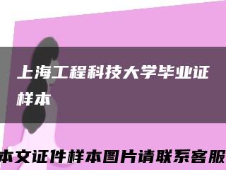 上海工程科技大学毕业证样本缩略图