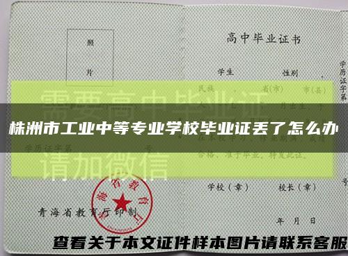 株洲市工业中等专业学校毕业证丢了怎么办缩略图