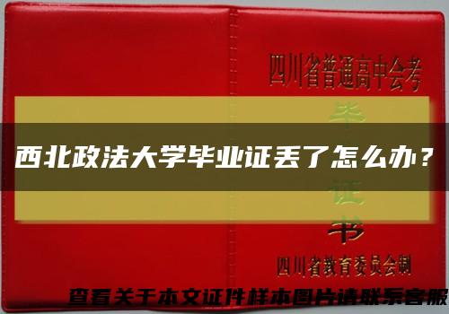 西北政法大学毕业证丢了怎么办？缩略图